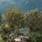 Olive Garden Kabak