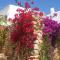 Agroturismo Can Pardal
