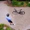 Vakantiewoning Renard Ronse