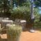 Villa d’exception Montpellier
