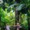 Heritage Lodge - in the Daintree
