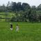 Sacred Beji by Pramana Villas