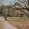 Tiny Boorowa by Tiny Away
