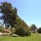 Olive Tree Apartments