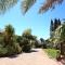 Olive Tree Apartments