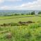 3 Bed in Crich 78717