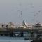 Apartment Casino