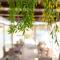 B&B Tenuta Barone