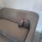 Giovanna - spacious lovely apartment