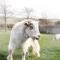Wooda Farm Holidays