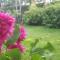 Hostal El Jardin