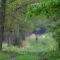 Cottage in Veluwe near Forest Park