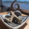 Liquid PARIDISE Noosaville houseboat "Experience More"