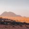 wadirumtours&camp