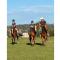 Toowoomba Valley Views by Tiny Away