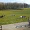 The Old Stables Bed & Breakfast