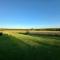 Adina Vineyard