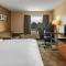 Comfort Inn West