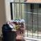 Tranquil Studio Suite with Outdoor Pool