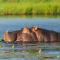 Chobe River Lodge
