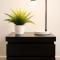 Private 2 Levels Ensuite Darling Harbour ICC