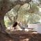 Trulli cicale e olive