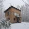 Forest Hideaway
