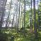 Ruskin Lodges Argyll, by Puck's Glen, Rashfield near Dunoon - Dunoon