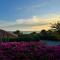 Boca Gentil Sunrise 9