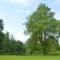 Peaceful Garden Home in Modave