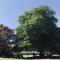 Peaceful Garden Home in Modave