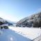 Apartment in Untertauern near Obertauern Skiing, cleaning included