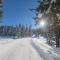 Chalet in Mittersill near Ski Slopes, cleaning included