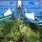 Lazy Nest - Sleeps 4 Parking Garden & Hammocks