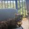 Jaragual EcoHotel