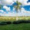Yacht & Golf Club Paraguayo, a Tribute Portfolio Resort