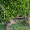 Apartman Green River Banja Luka