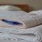 Hotel Lions Plzen
