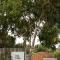 Tea Tree - Private Retreat with Outdoor Bath