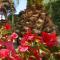 Phalanthos B&B