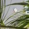 Phalanthos B&B