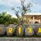 Trika Surfcamp Bali