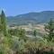Apartment in Greve in Chianti with garden