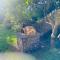 Crystal Cottage Retreat- Escape to the Hinterland!