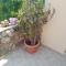 Philoxenia Holiday Home