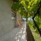 Guest House Roba