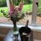 Mitta Glen Guesthouse