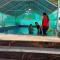 Johnsons Homestay With Pool & Ecohouseboat near town beach
