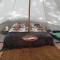 Nalu Glamp