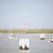 Apartment in Nieuwpoort with Stunning Sea Views, cleaning included